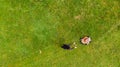 Drop down view of a person mowing lawn. Royalty Free Stock Photo