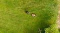 Drop down view of a person mowing lawn. Royalty Free Stock Photo