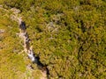 Drop down view of river runing through forest. Royalty Free Stock Photo