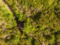 Drop down view of river runing through forest. Royalty Free Stock Photo