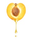 A drop dripping from a half of apricot close up on a white background