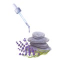 Drop of essential oil drips from pipette. Spa sprigs of lavender, stones pyramids. Massage, aromatherapy, essential Royalty Free Stock Photo