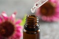 Drop of essential oil or herbal tincture, with echinacea flowers