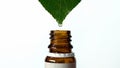 Drop falling from leaf into bottle, organic healthcare, homeopathy, macro shot