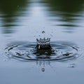 The drop forms a crown like shape as smaller droplets are ejected around Royalty Free Stock Photo