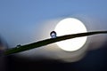 Drop of frost on a blade of grass in front of the morning sun