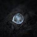 Drop of frozen rain at high magnification Royalty Free Stock Photo