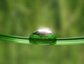 Drop on grass