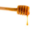 Drop of honey Royalty Free Stock Photo