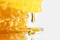 Drop of honey dripping from the honeycomb closeup
