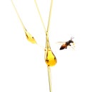 Drop of honey. Royalty Free Stock Photo