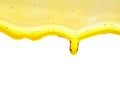 Drop of honey. Royalty Free Stock Photo