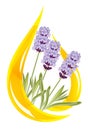 A drop of lavender essential oil.