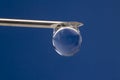 Drop of liquid hangs on the tip of a medical injection needle Royalty Free Stock Photo
