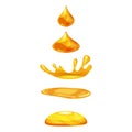 Drop of liquid, water falls and makes a splash, jrange, gold colour. Phases, frames, for animation, cartoon style