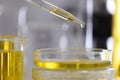 Drop of oil drips from dispenser into petri dish in chemical laboratory closeup