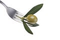 A drop of olive oil Royalty Free Stock Photo