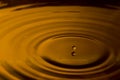 Drop in rippling water Royalty Free Stock Photo