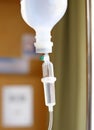 Drop of Saline Solution