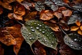 DROP OF WATER ON AUTUMN LEAVES GENERATED BY AI TOOL Royalty Free Stock Photo