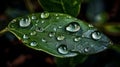 A drop of water balancing on the edge of a leaf. AI generated Royalty Free Stock Photo