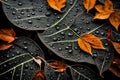 DROP OF WATER ON BLACK AUTUMN LEAF GENERATED BY AI TOOL Royalty Free Stock Photo