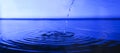 Drop water in deep blue background