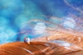 A drop of water dew on a fluffy feather close-up on blue blurred background. Abstract romantic magical artistic image for the