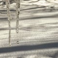 A drop of water falls from an icicle Royalty Free Stock Photo