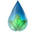 Drop of water with leaves Royalty Free Stock Photo
