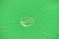 Drop water on the Lotus leaf Royalty Free Stock Photo