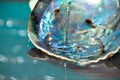 Drop of water splash in paua colorful shell Royalty Free Stock Photo
