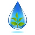 Drop Of Water With Sprout. Vector