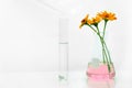 Drop of water in test tube with orange flower in pink solution in flask for organic biological laboratory research white