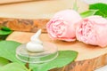 Drop of white cream with pink roses and green leaves on wood cuts. Close up. Natural cosmetic product concept, face care Royalty Free Stock Photo