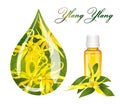 Drop of ylang ylang