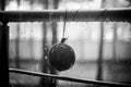 Droplets on the child balloon and metal handrail, summer rain, bnw photo Royalty Free Stock Photo