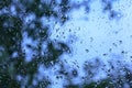 Droplets of rain on a window Royalty Free Stock Photo