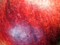 Droplets of water on the peel of a ripe red apple, a macro shot Royalty Free Stock Photo