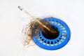 Dropped hair in a blue strainer in the sink, poor hygiene, cleaning the clogged drain with a cotton swab. Hair wrapped on bud. Royalty Free Stock Photo