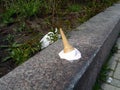 Dropped ice-cream in summertime outdoors