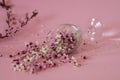 Dropped wine glass with spilled flowers. Royalty Free Stock Photo