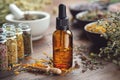 Dropper bottle of essential oil. Glass bottles of medicinal herbs. Mortar and bowls of dry herbs on background. Royalty Free Stock Photo