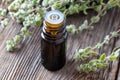 A bottle of marjoram essential oil with marjoram twigs