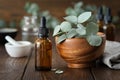 Dropper bottle of eucalyptus essential oil and wooden bowl of green eucalyptus leaves. Mortar and oil bottles on background Royalty Free Stock Photo