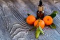Dropper bottle of mandarin essential oil Royalty Free Stock Photo