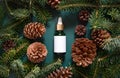 Dropper Bottle near fir branches and pine cones top view. Brand packaging mockup