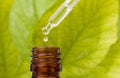 Dropper over essential oil bottle. Royalty Free Stock Photo