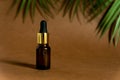 Dropper dark glass bottle with pipette or droplet. Mock up Essential liquid .Trendy background tropical leaves and copy space