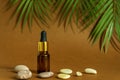 Dropper dark glass bottle with pipette or droplet. Mock up Essential liquid .Trendy background tropical leaves and sea stones
